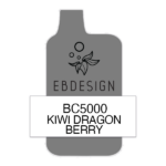 Kiwi Dragon Berry Elf Bar 5000