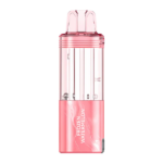 Frozen Watermelon FOGER Switch Pro Disposable