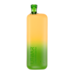 Lone Star Cactus UT Bar