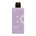 Blue Razz Grape Ice OFF STAMP SW16000 Disposable