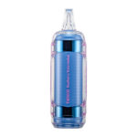 Blueberry Watermelon RAZ TN9000 - Image 2