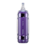 Grape Ice RAZ TN9000 - Image 2